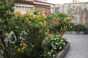 Casa da mãe